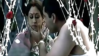 Indrani Halder Entirely a family ring-shaped Powered N Chap-fallen Voluptuous lecherous kinship 292 - 720P HD